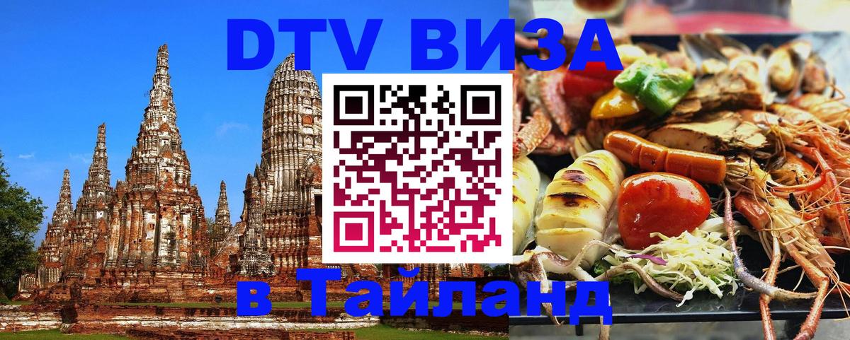 Оформление DTV визы под ключ: стоимость и тарифы, только загранпаспорт - Саратов  19.11.2025 